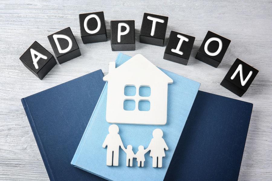 Graphic with blocks spelling Adoption with books, house block, and family block.